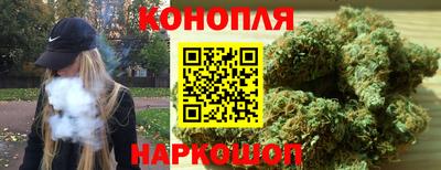 спиды Шелехов