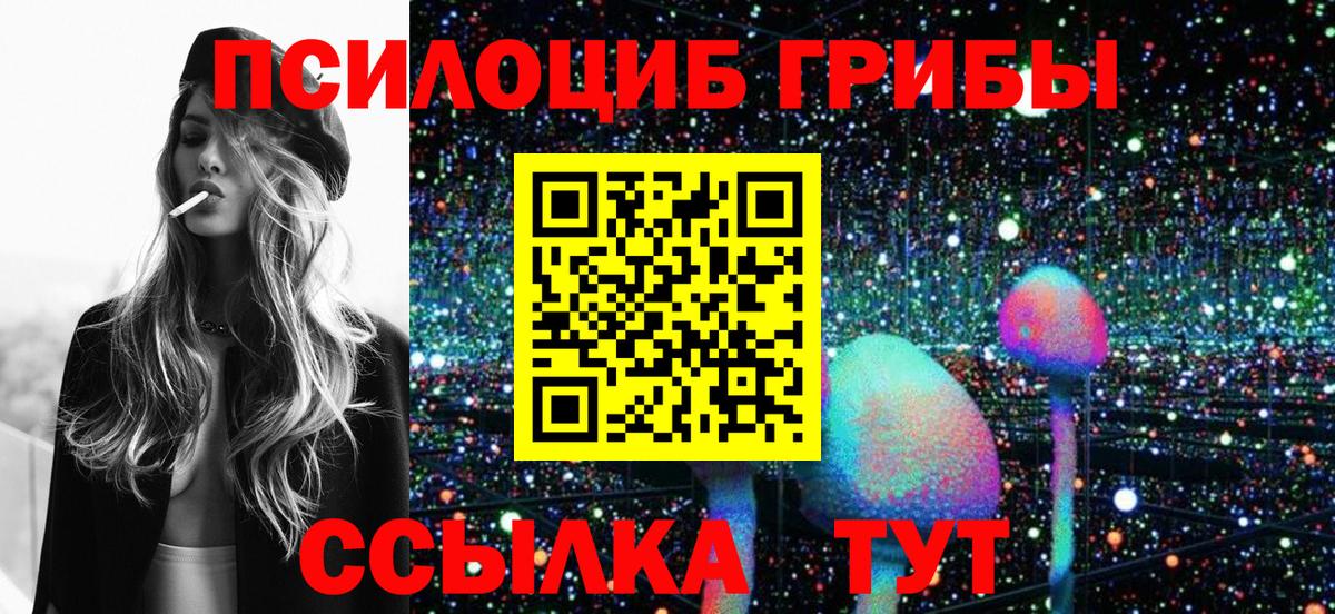 Гай  Псилоцибиновые грибы мухоморы  Галлюциногенные грибы Psilocybine cubensis  Вход с VPN 