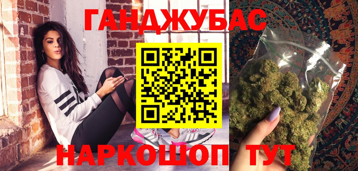 Шишки марихуана сатива Гай